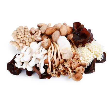 菌菇烘干機(jī),食用菌烘干機(jī),蘑菇烘干機(jī)